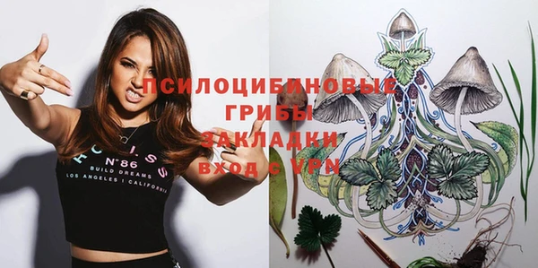 метадон Заводоуковск