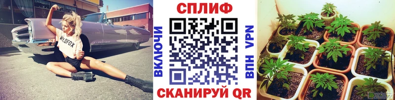 Канабис OG Kush  Купить  Биробиджан 